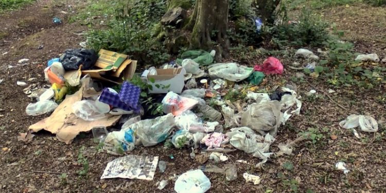 Belgrad Ormanı'nda piknikçiler gitti, çöpleri kaldı