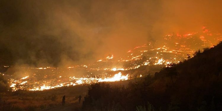Binlerce hektar alanı kül eden yangınlara karşın gereken adımlar atılmadı