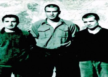 CHP'li Başarır, 'üç fidan' için kanun teklifi verdi