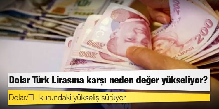 Dolar Türk Lirasına karşı neden değer yükseliyor?