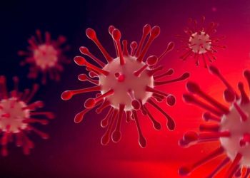 Dünya Sağlık Örgütü: Maymun çiçeği vaka sayısı 200’e ulaştı