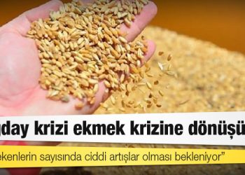 Dünya gazetesi yazarı Ali Ekber Yıldırım: Buğday krizi ekmek krizine dönüşüyor