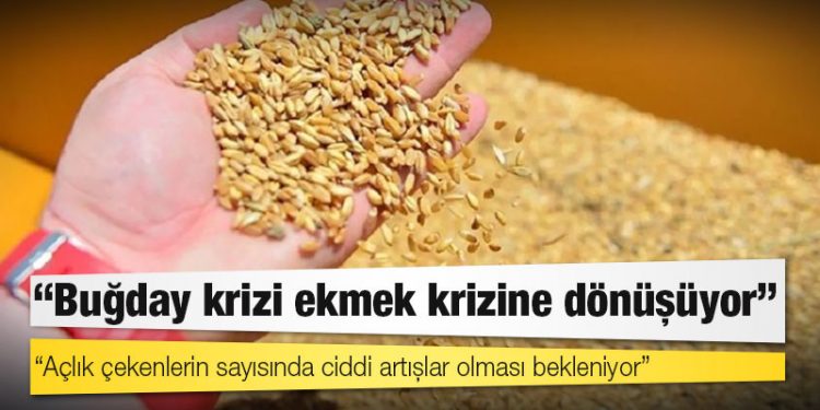 Dünya gazetesi yazarı Ali Ekber Yıldırım: Buğday krizi ekmek krizine dönüşüyor