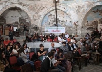 Ekolojistler Diyarbakır'da bir araya geldi: İktidar doğaya ve tarihe düşman