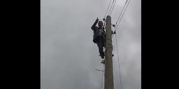 Elektriği kesik köyün muhtarı direğe çıkarak isyan etti: ‘Ben AK Partiliyim’