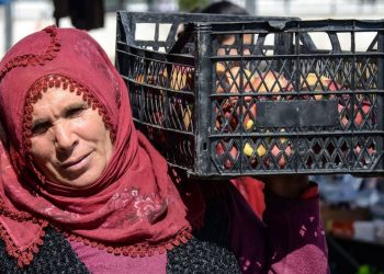 Elmanın üretici ve market arasındaki fiyat farkı yüzde 440'ın üzerine çıktı