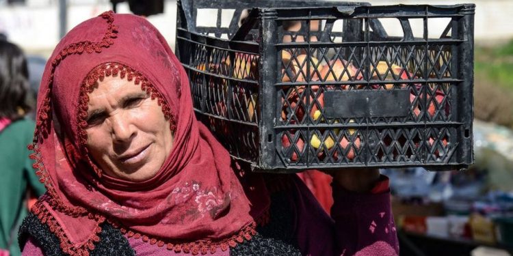 Elmanın üretici ve market arasındaki fiyat farkı yüzde 440'ın üzerine çıktı