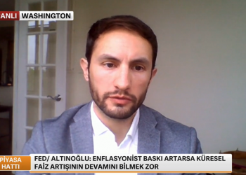 Fed ekonomistinden Türkiye'ye rezerv uyarısı