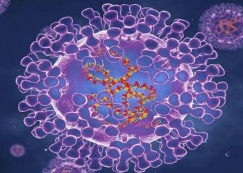 Finlandiya’da maymun çiçeği virüsü vakası tespit edildi