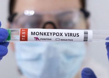 Fransa'da 16 kişide maymun çiçeği virüsü tespit edildi