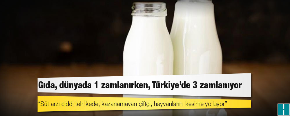 Gıda, dünyada 1 zamlanırken, Türkiye'de 3 zamlanıyor: "Süt arzı ciddi tehlikede, kazanamayan çiftçi, hayvanlarını kesime yolluyor"