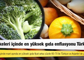 G20 ülkeleri içinde en yüksek gıda enflasyonu Türkiye'de