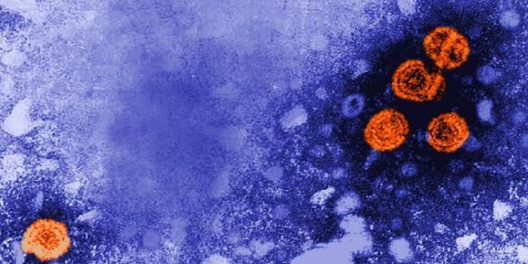 Gizemli hepatit nedeniyle 17 çocuğun karaciğeri iflas etti