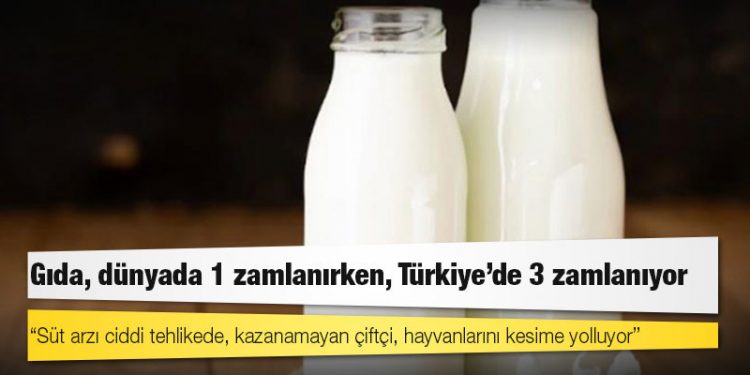 Gıda, dünyada 1 zamlanırken, Türkiye'de 3 zamlanıyor: "Süt arzı ciddi tehlikede, kazanamayan çiftçi, hayvanlarını kesime yolluyor"