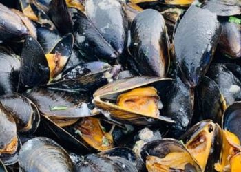 Gıda krizinin öne çıkardığı altı besin