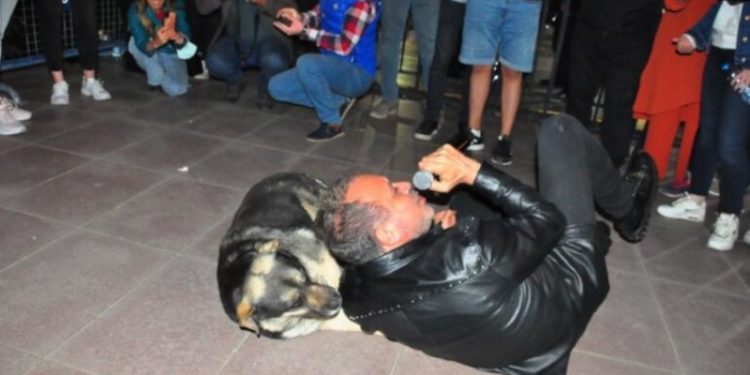 Haluk Levent, sokak köpeğiyle yere uzanarak şarkı söyledi