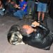 Haluk Levent, sokak köpeğiyle yere uzanarak şarkı söyledi