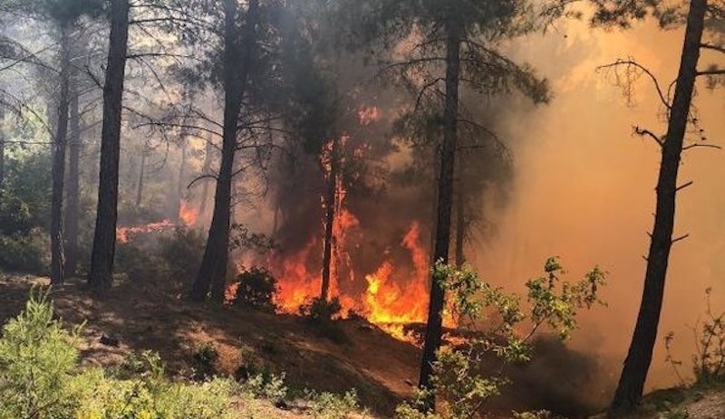 Hatay Valiliği, Özdağ'ı yalanladı: Yangını PKK çıkarmadı