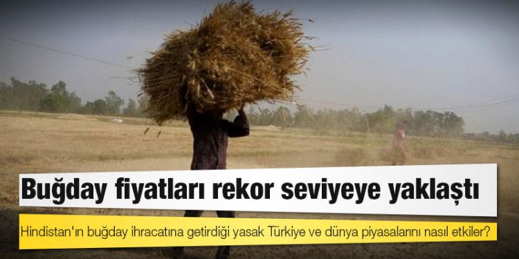 Hindistan'ın buğday ihracatına getirdiği yasak Türkiye ve dünya piyasalarını nasıl etkiler?