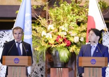 Japonya'dan Ukrayna'daki nükleer santrallerin güvenliğine 2,1 milyon dolar destek