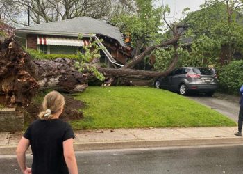 Kanada'da fırtına: 8 kişi hayatını kaybetti
