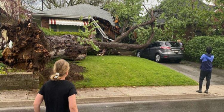 Kanada'da fırtına: 8 kişi hayatını kaybetti