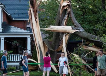 Kanada'da iki eyalette etkili olan fırtınada 8 kişi hayatını kaybetti