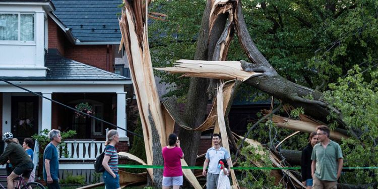 Kanada'da iki eyalette etkili olan fırtınada 8 kişi hayatını kaybetti
