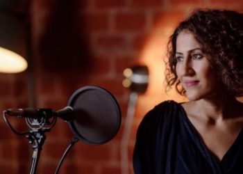 Karar yazarı Karaalioğlu: Fırsattan istifade Kürtçe konseri de araya sıkıştırmak kabul edilemez