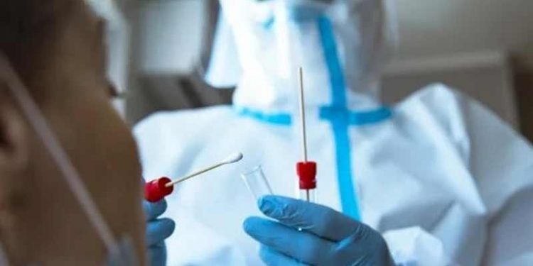 Koronavirüste bugün: 5 kişi hayatını kaybetti; bin 310 kişi pozitif çıktı