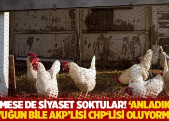 K&uuml;mese de siyaset soktular! 'Anladık ki, tavuğun bile AKP'lisi CHP'lisi oluyormuş'