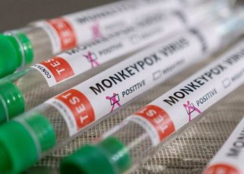 Maymun çiçeği virüsü BAE, Çekya ve Slovenya'da da görüldü