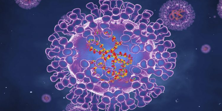 Maymun çiçeği virüsü yayılıyor: Belçika’da 21 gün karantina zorunluluğu getirildi