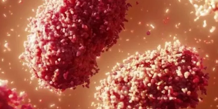 Maymun çiçeği virüsü üç ülkede daha görüldü