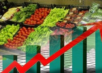 Metropoll: Toplumun yüzde 73’ü resmi enflasyon rakamlarına inanmıyor