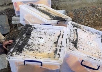 Mezardan &ccedil;ıkarılıp kaldırıma g&ouml;m&uuml;len cenazeler i&ccedil;in AİHM&rsquo;e başvuru