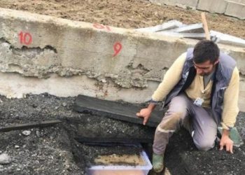 Mezardan çıkarılıp İstanbul'da kaldırıma gömülmüşlerdi: Dosya AİHM'e taşındı