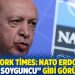 New York Times: NATO Erdoğan’ı “adi soyguncu” gibi görüyor