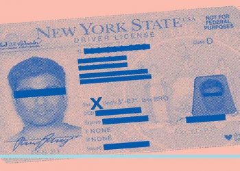 New York eyaleti, ehliyetlere 'cinsiyetsiz' alanını ekledi