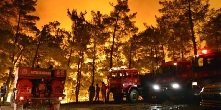Orman yangınlarıyla ilgili açıklama yapan sendikacıya soruşturma açıldı