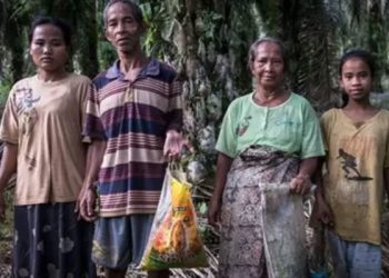 Palm yağı üreticileri, arazilerini kullandıkları kabilelerin milyonlarca dolarlık gelirlerini nasıl alıkoyuyor?