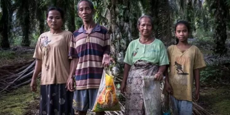 Palm yağı üreticileri, arazilerini kullandıkları kabilelerin milyonlarca dolarlık gelirlerini nasıl alıkoyuyor?