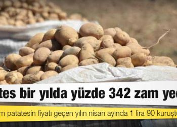 Patates bir yılda yüzde 342 zam yedi