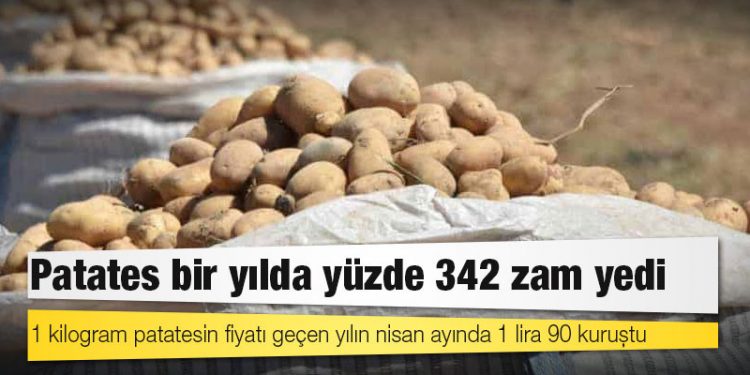 Patates bir yılda yüzde 342 zam yedi