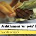 Piyasada 21 Aralık benzeri ‘kur şoku’ beklentisi