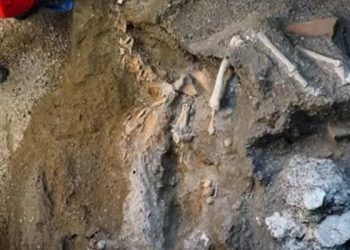 Pompeii’de ilk kez yanardağ kurbanına genom dizilimi yapıldı: 'Anadolu kökenli olabilir'