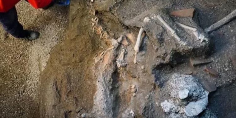 Pompeii’de ilk kez yanardağ kurbanına genom dizilimi yapıldı: 'Anadolu kökenli olabilir'