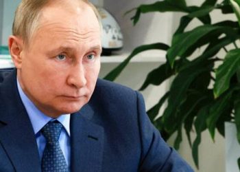 Putin: Yaptırımların kaldırılması halinde tahıl ihracatına hazırız