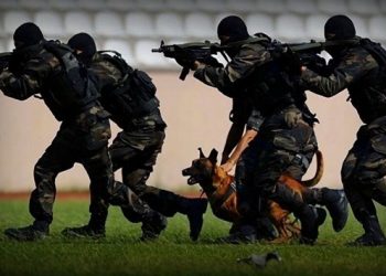 SADAT'tan a&ccedil;ıklama: Ticari bir şirketiz