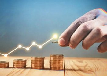 SEDDK: Türk vatandaşlığı için BES'e yatırılacak tutara devlet katkısı verilmeyecek